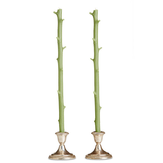 Two Stick Candles resembling tree branches, set in silver candlestick holders against a white background, with a rustic feel.